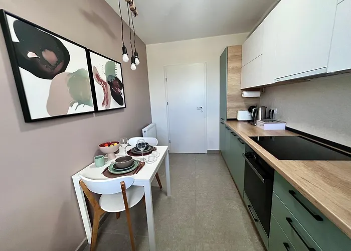 Апартаменты Flh View Elegance - Balcony, Free Parking, Bathtub & Ac Near Coresi Mall *